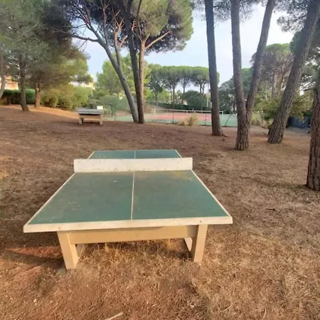Pins * Saint-Raphael (Var)